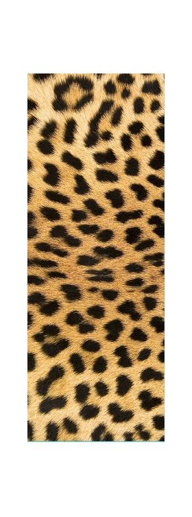 leopard paper gift bag